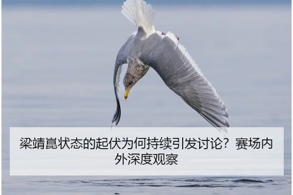 梁靖崑状态的起伏为何持续引发讨论？赛场内外深度观察