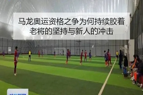 马龙奥运资格之争为何持续胶着 老将的坚持与新人的冲击